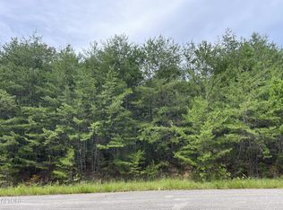 742 White Dogwood Rd LOT 13, Cosby, TN 37722
