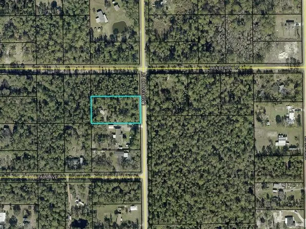 2724 LANCEWOOD STREET LOT 6, BUNNELL, FL 32110