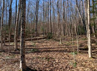 0 Stone Chimney Rd, Reading, VT 05062