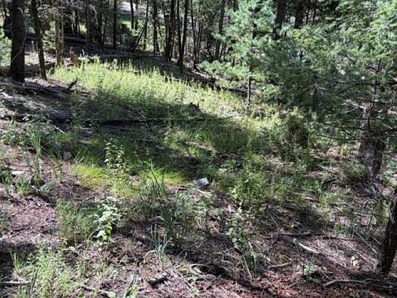 5th image of Dry Canyon Rd