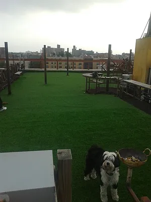 Rented by Spot It Realty LLC | media 88