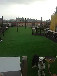 Rented by Spot It Realty LLC