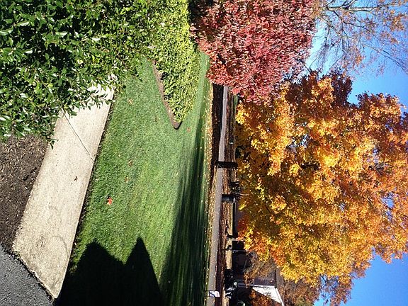 Beautiful front yard....