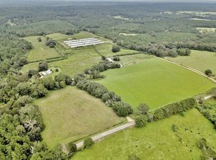 142 Sawmill Rd, Sandy Hook, MS 39478