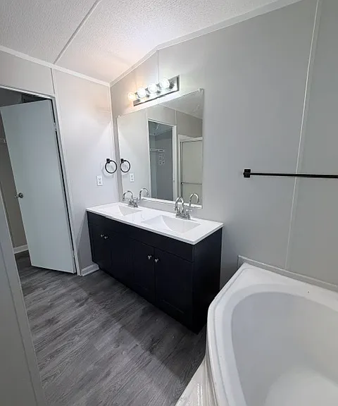 Master bathroom double sink vanity