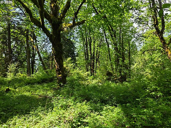 4th image of Lewis Cemetery Rd