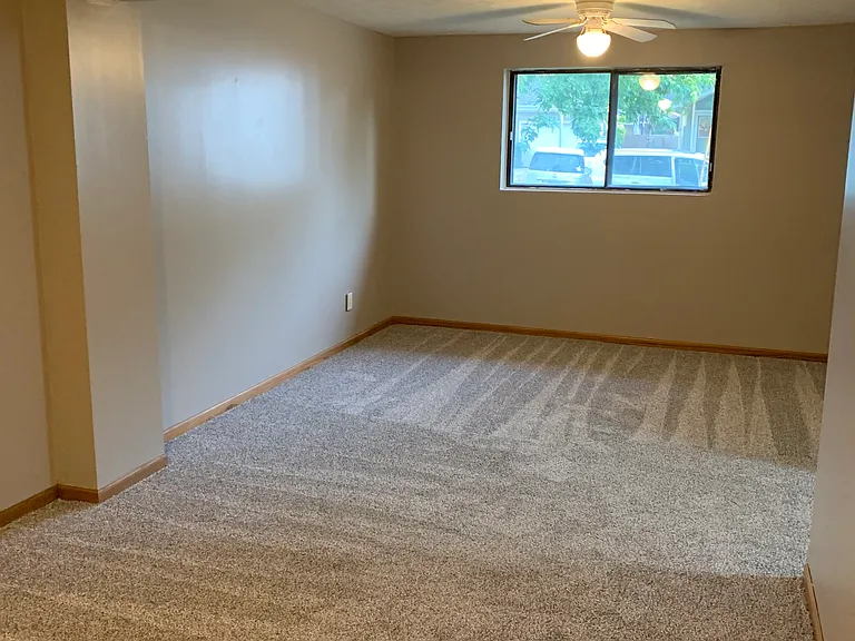 Basement Living Area