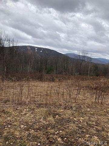2nd image of Castle Mountain Rd
