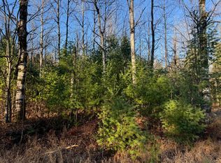 Lone Pine Rd, Gaylord, MI 49735