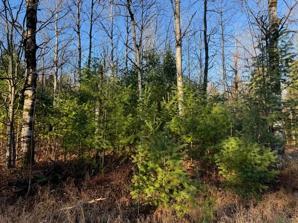 Lone Pine Rd, Gaylord, MI 49735