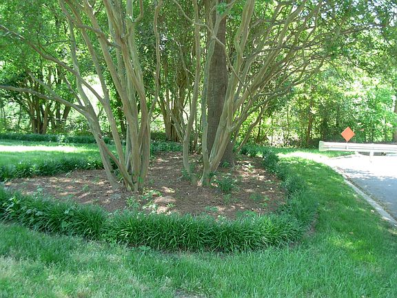 Landscaped Side Yard