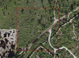 Holopaw Groves Rd, Saint Cloud, FL 34773