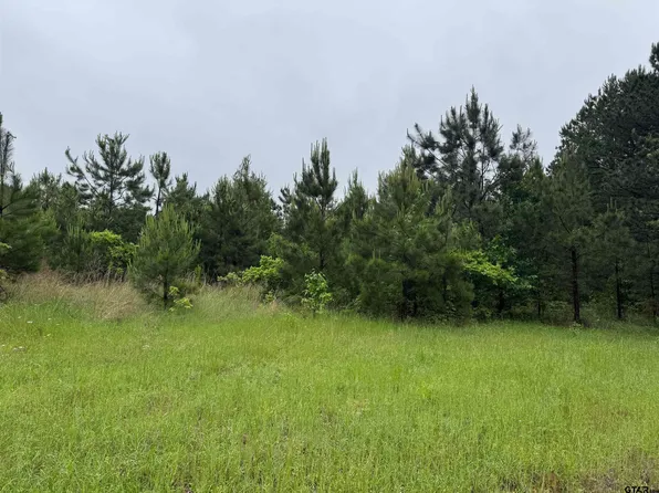 3369 County Road 2472, Naples, TX 75568