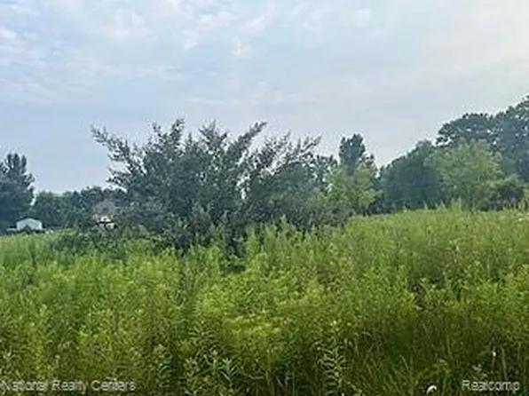 0 Stow Rd, Webberville, MI 48892