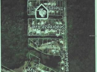 6446 Theresa Ave, Weeki Wachee, FL 34607