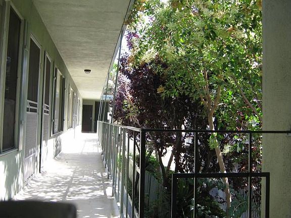 Court yard