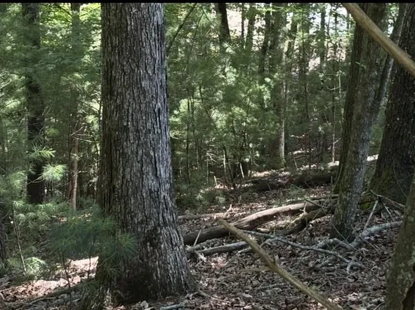 LOT 3662 Hannah Ct, Ellijay, GA 30540