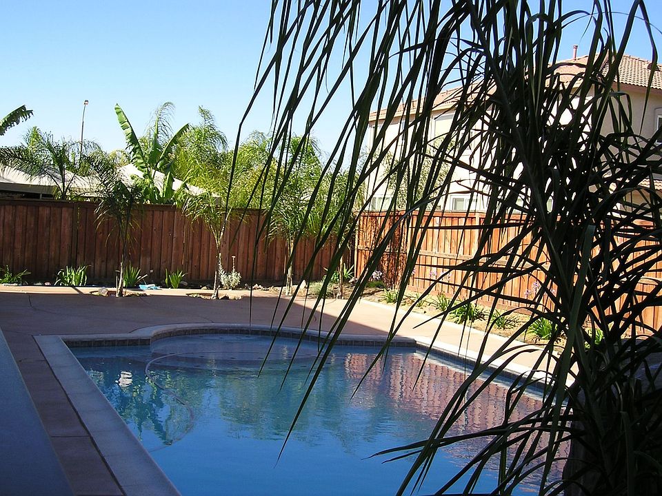 Backyard Pool (includes waterfall)