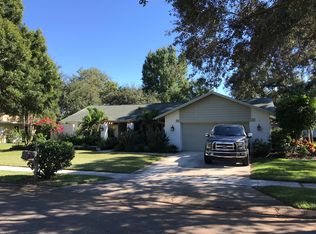440 Hickorynut Ave, Oldsmar, FL 34677