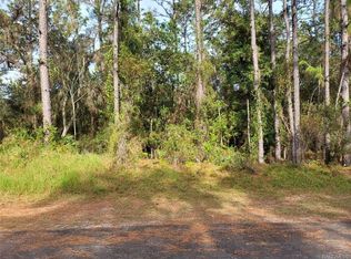 9119 N Justa Dr, Citrus Springs, FL 34433