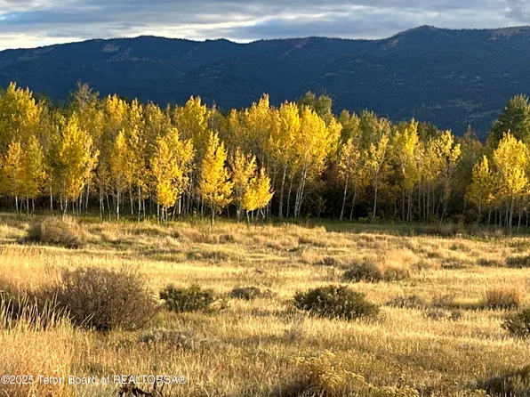 170 Elk Path, Swan Valley, ID 83449