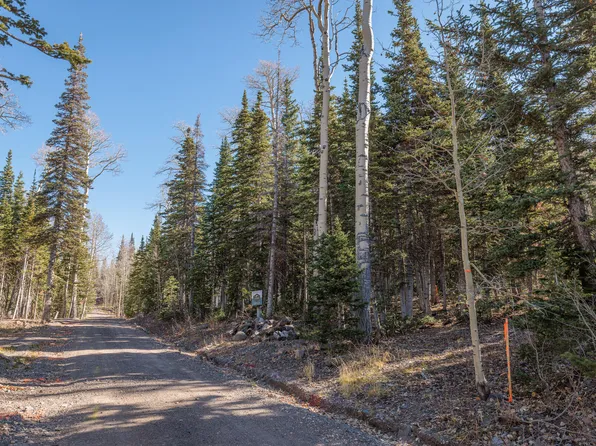 214 E Deer Trl, Brian Head, UT 84719