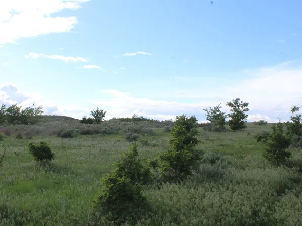 Ns 203 & 54 S12 T20n R21 Wim, Sharon, OK 73857