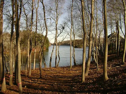 8 Beals Cove Rd #C Photo 1
