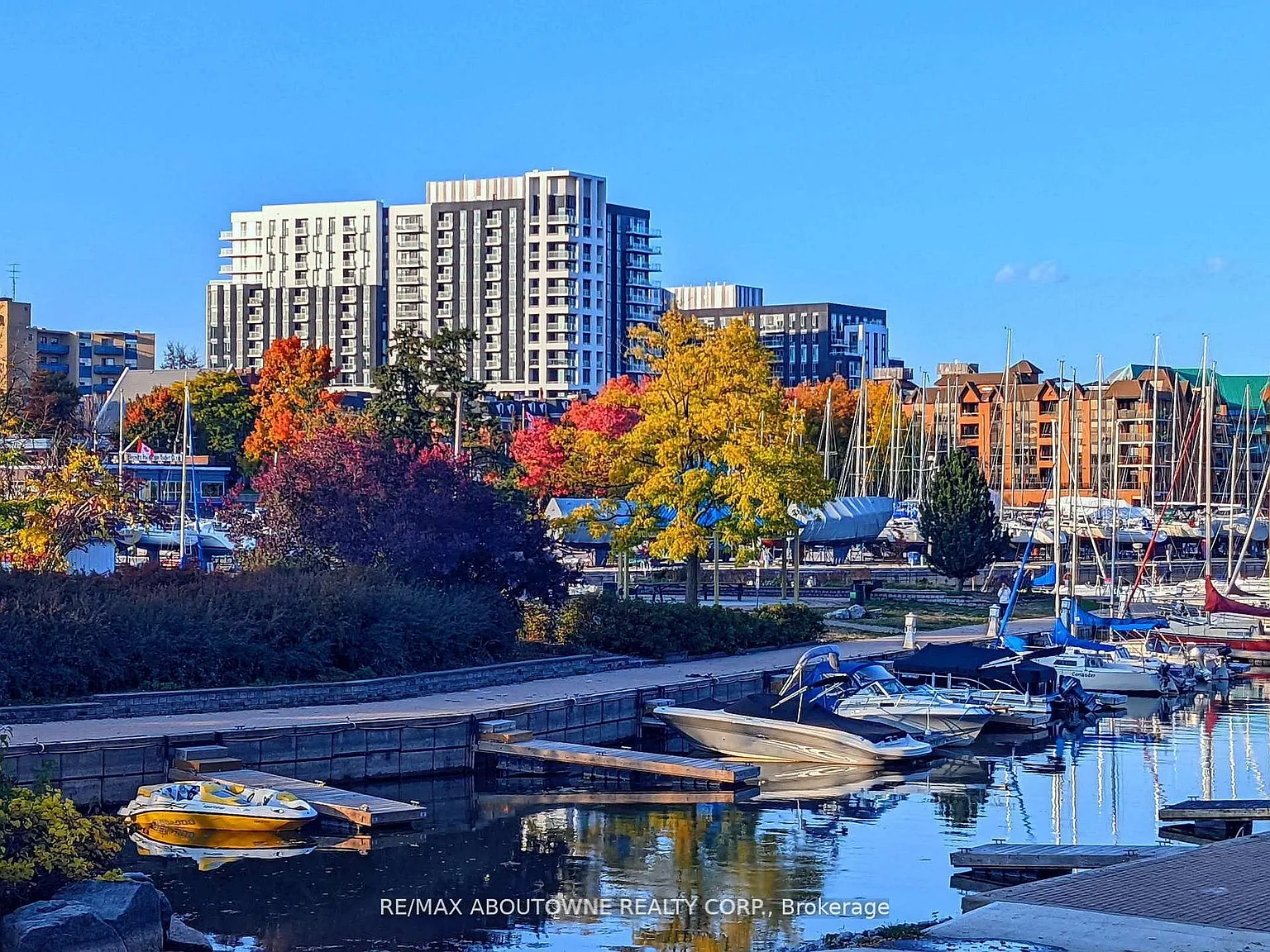 2 bed, $4,695 — Photo 3