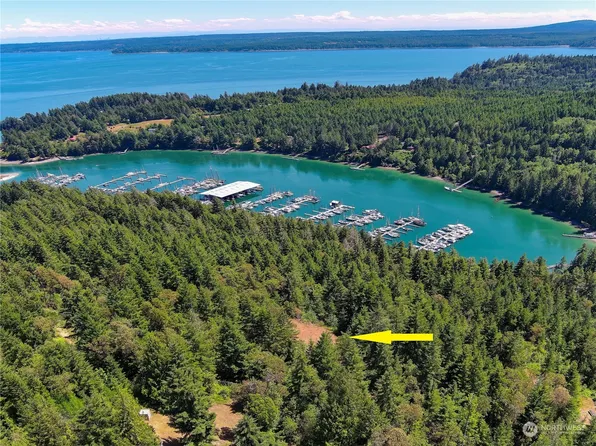 646 Madrona Ridge Drive, Brinnon, WA 98320