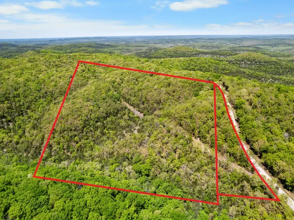 6891 N State Highway 125, Bradleyville, MO 65614