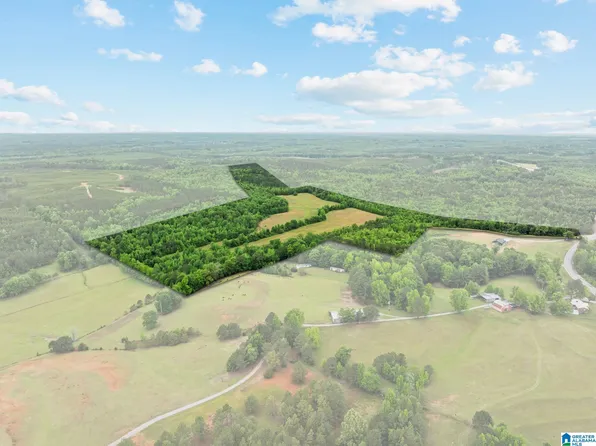 0 State Highway 91 #107 acres, Maplesville, AL 36750