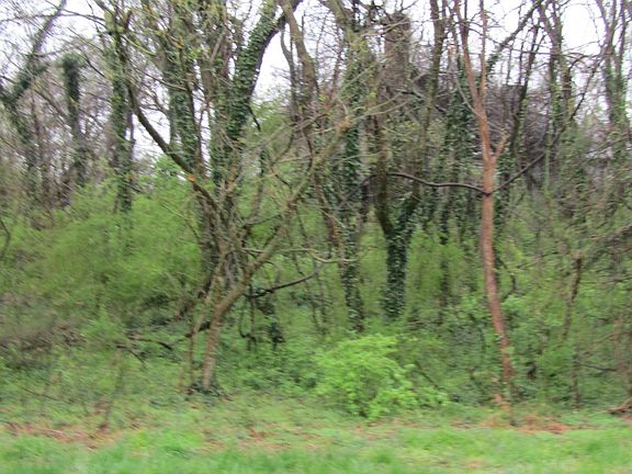 5th image of 5171 Starmount Rd