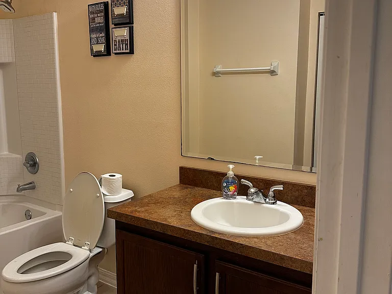 3909 Flowering Orchid Ln — Photo 12