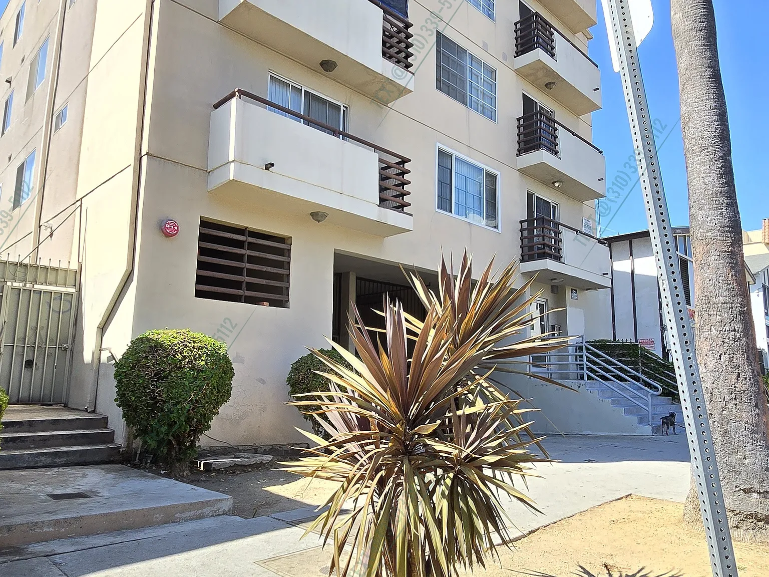 1 bed, 621 sqft, $1,898 — Photo 3