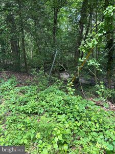 Elm Trl, Crownsville, MD, 21032