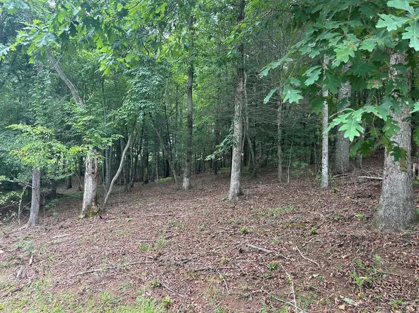 LOT 14 Fiddlers Cv, Blairsville, GA 30512