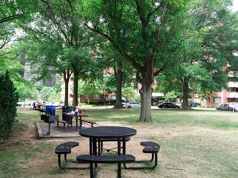 Picnic Area