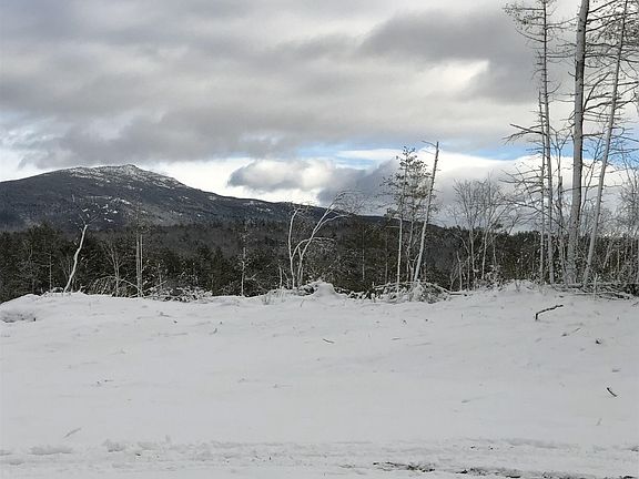 5th image of Maple Lane