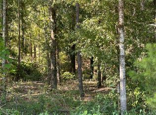 LOT 1 SW 69th Dr, Jasper, FL 32052