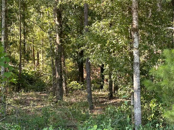 LOT 1 SW 69th Dr, Jasper, FL 32052