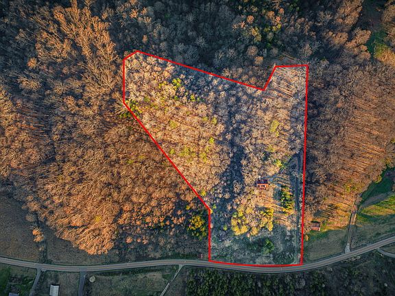 3rd image of 7389 Lone Star Rd