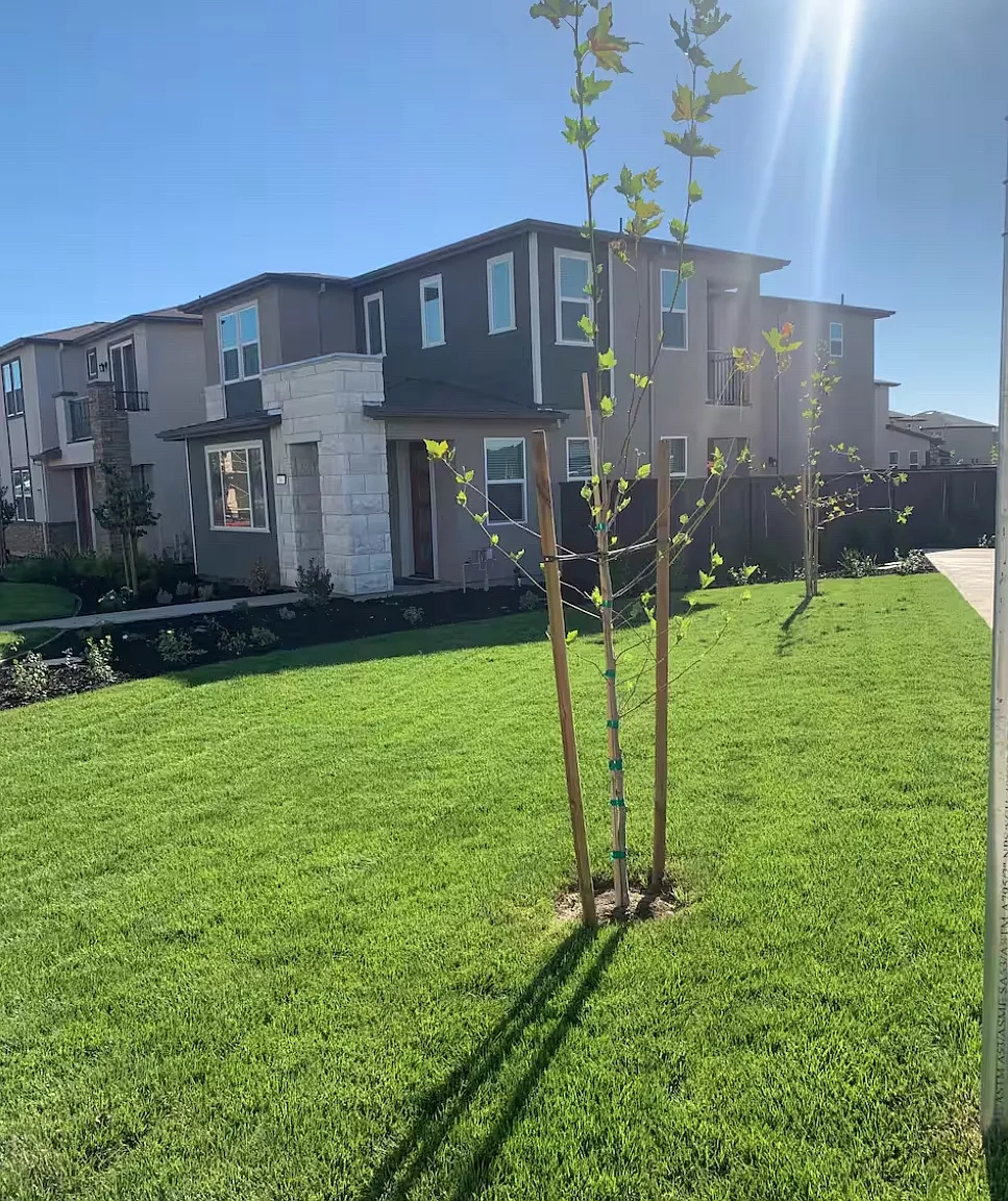 1 bed, 2000 sqft, $1,527 — Photo 2