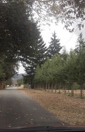 2nd image of 1044 Bell Ln