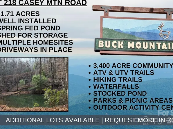 Casey Mountain Rd #218, Purlear, NC 28665
