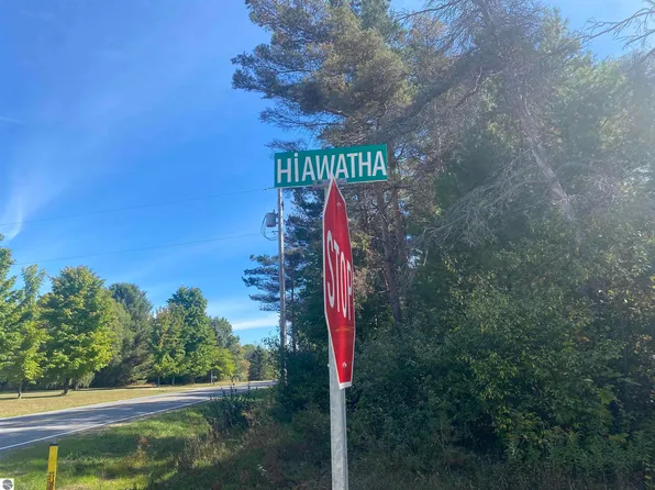 0 Hiawatha Trl #385, Buckley, MI 49620