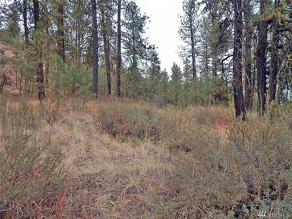 3rd image of 0 Western Pines Dr N