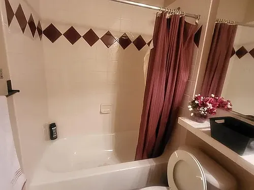 4858 Steamboat Lake Ct Photo 1