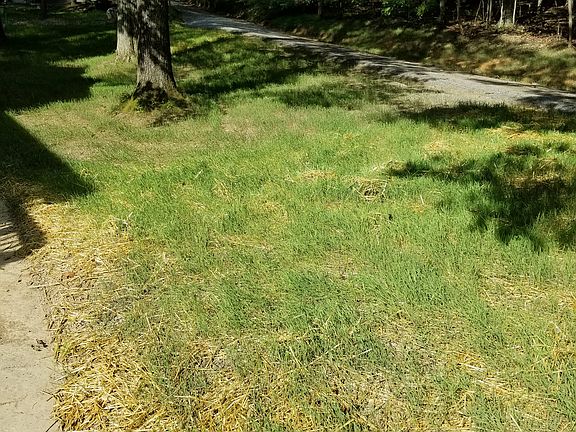 5th image of 81 Sawyer Dr
