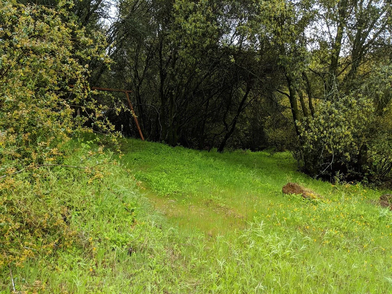 51023 Rosemary Ln photo 1